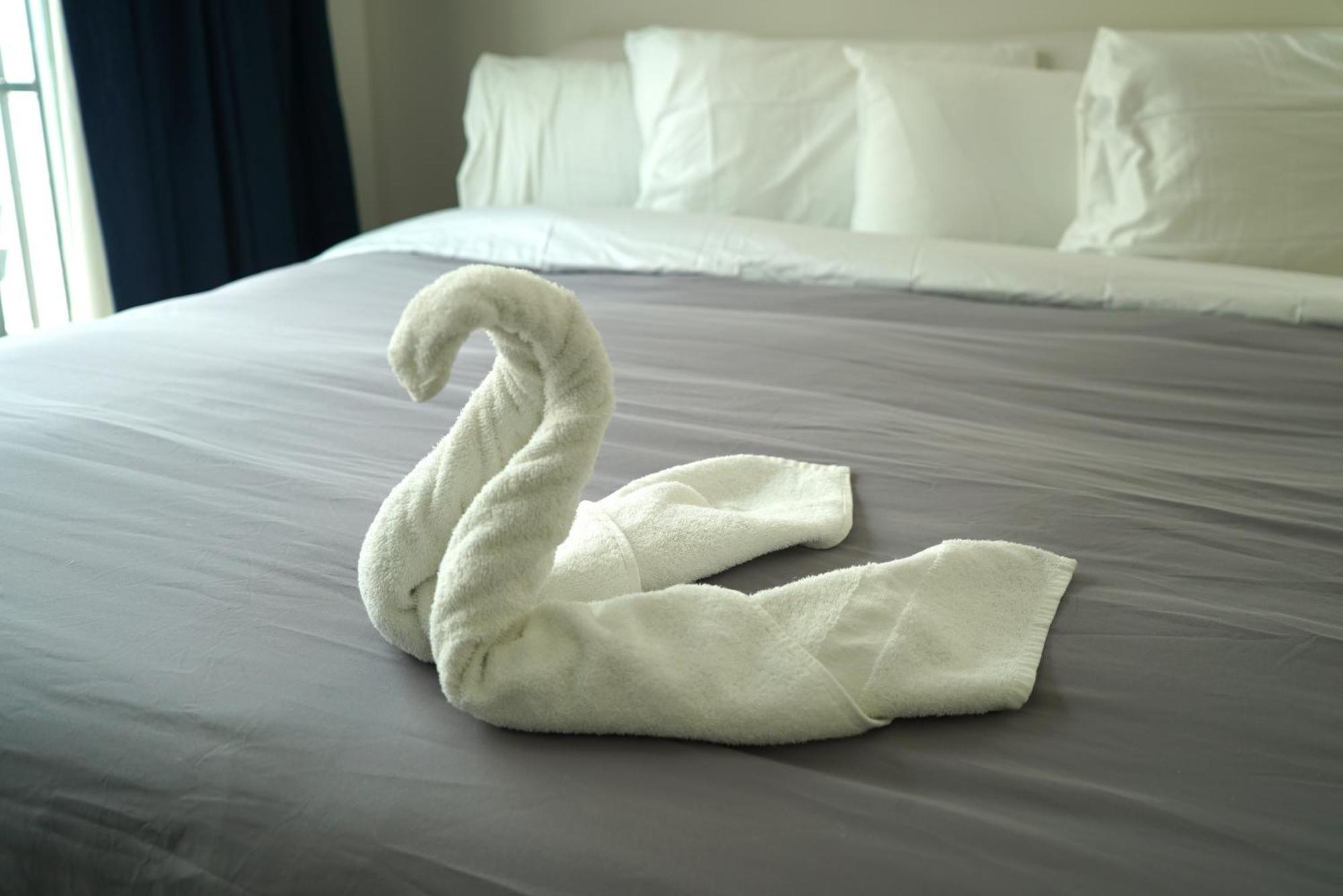 Deluxe Apartments At The Congress Miami Beach Chambre photo
